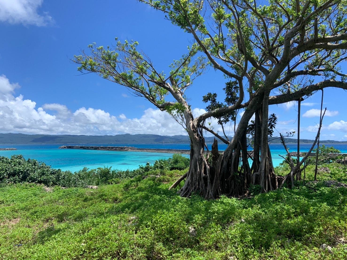 鳩間島＋バラス島 シュノーケリングまたは体験ダイビング1日ツアー！手つかずの島と地図にない美しすぎる奇跡の島を満喫＜昼食付／オプションでBBQ可／石垣島発＞  | 石垣島・八重山の観光・オプショナルツアー専門 VELTRA(ベルトラ)