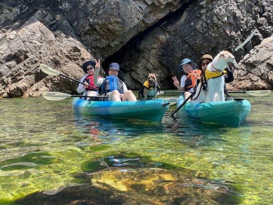 【愛犬連れOK】シーカヤック体験 ペットと一緒に透明度の高い浦富海岸の海を満喫＜4月〜10月／岩美駅からの送迎無料／岩美＞by 鳥取県自然体験塾