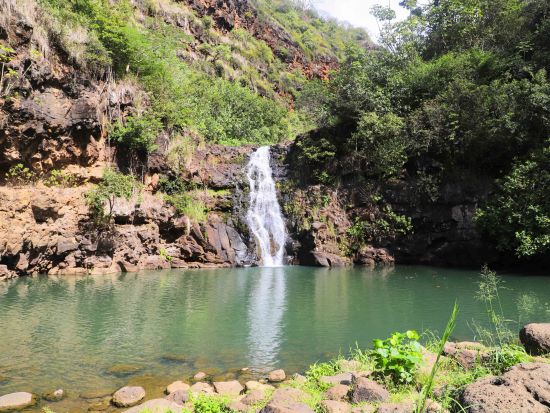 ワイメア滝ハイキングツアー　滝つぼ遊び付き！ノースショアの大自然に癒されながらハワイのカルチャー体験＜コーヒー農園での軽食＆渓谷ランチ付き＞