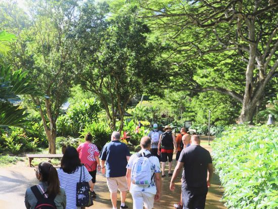 ワイメア滝ハイキングツアー　滝つぼ遊び付き！ノースショアの大自然に癒されながらハワイのカルチャー体験＜コーヒー農園での軽食＆渓谷ランチ付き＞
