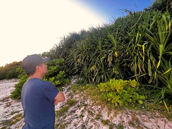 石垣島 街さんぽツアー　地元出身の遊びの天才 乱さんが島の魅力とともにゆったり街をご案内！0歳～参加OK＜夕方1時間半／1枠最大5名／混載／石垣島＞by島じかん