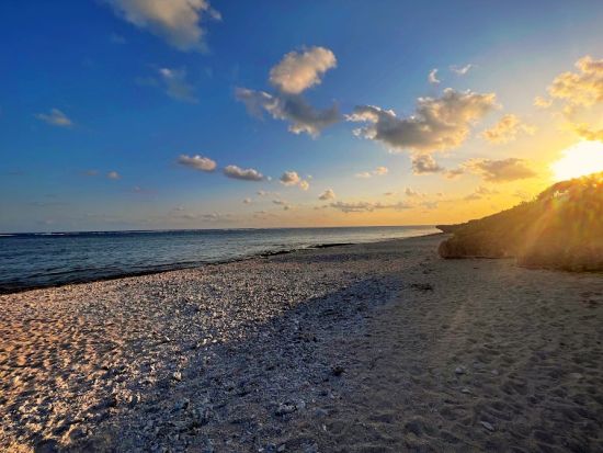 石垣島 街さんぽツアー　地元出身の遊びの天才 乱さんが島の魅力とともにゆったり街をご案内！0歳～参加OK＜夕方1時間半／1枠最大5名／混載／石垣島＞by島じかん
