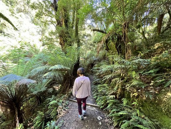 MelbaGullyDayTime_img