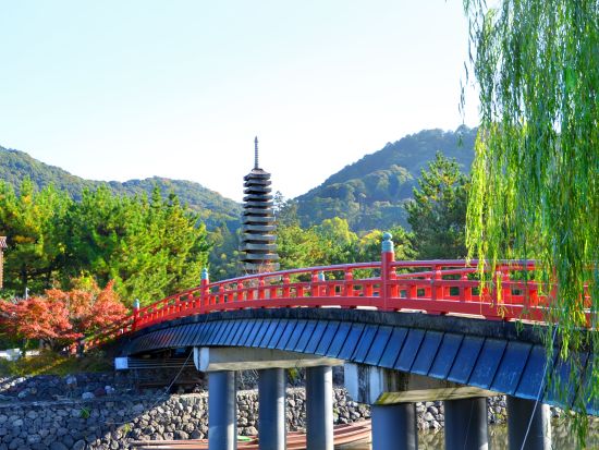 宇治バスツアー 一休寺＋三室戸寺＋萬福寺＋平等院と宇治散策（2026/6/6～29）＜昼食付／京都駅発＞by おこしバス（京都定期観光バス）