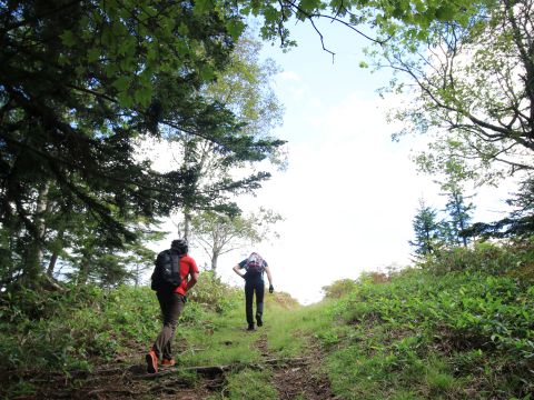 e-MTBで行く！阿寒湖周辺コース　電動アシストマウンテンバイクで白湯山展望台を目指して走る！＜4～11月／阿寒湖温泉発着＞byガイドのお店イ・モシリ