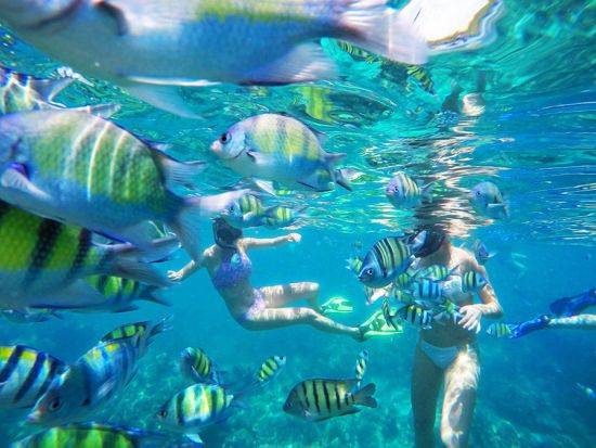 ラチャヤイ島＆コーラル島巡る離島1日ツアー　2島プランorラチャヤイ1島プランあり＜スピードボート／送迎付／シュノーケルセット付＞