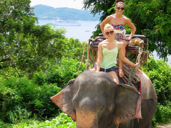 象のトレッキング（2）