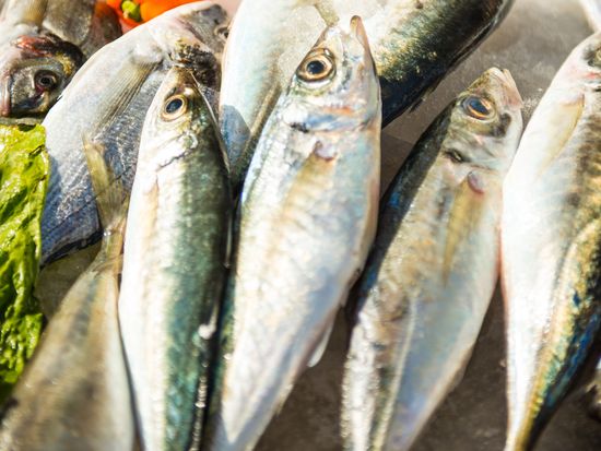 Zurrieq Fish Festival 2013 (15)
