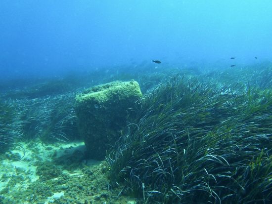 マルタ島 ファンダイビング　沈没船探索およびゴゾ島オプションあり ＜ビーチまたはボートエントリー／1～2ダイブ／英語インストラクター＞