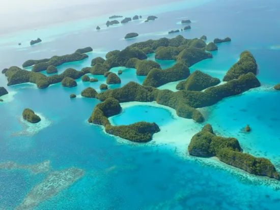 セスナ遊覧飛行　贅沢な空中散歩でパラオを空から楽しもう　選べる4コース＜25～70分／送迎付き＞by Smile Air Inc