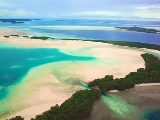 セスナ遊覧飛行　贅沢な空中散歩でパラオを空から楽しもう　選べる4コース＜25～70分／送迎付き＞by Smile Air Inc