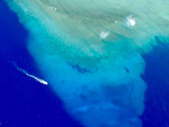 ブルーコーナー