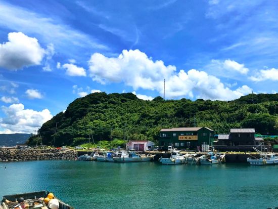 船釣り体験 釣りたてのお魚をランチでいただく！地元漁師さんや民宿のお母さんとのふれあい食体験＜6歳～／3.5時間／松浦市＞by 一般社団法人まつうら党交流公社