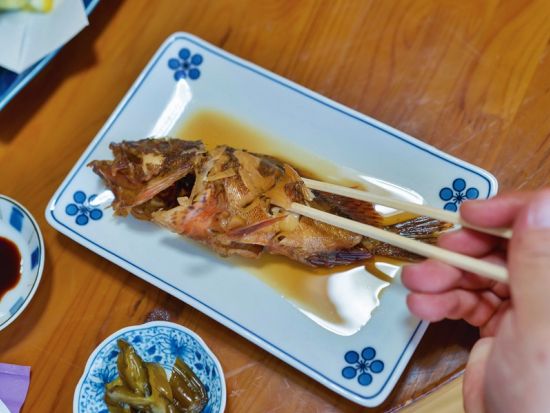 船釣り体験 釣りたてのお魚をランチでいただく！地元漁師さんや民宿のお母さんとのふれあい食体験＜6歳～／3.5時間／松浦市＞by 一般社団法人まつうら党交流公社