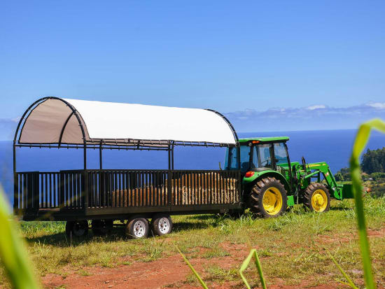 big island hawaii farm tours