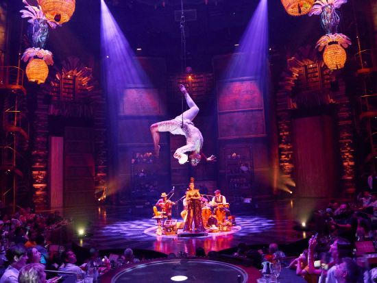 シルク・ドゥ・ソレイユ「JOYÀ」（ホヤ）チケット予約　幻想的で神秘的な世界観に圧倒されるナイトショーを鑑賞＜ディナー付きプラン・カンクン発の送迎オプション有＞