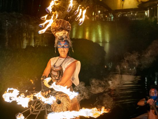 シルク・ドゥ・ソレイユ「JOYÀ」（ホヤ）チケット予約　幻想的で神秘的な世界観に圧倒されるナイトショーを鑑賞＜ディナー付きプラン・カンクン発の送迎オプション有＞