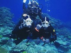 IMG-8302