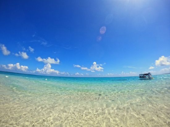 幻の島上陸＋体験ダイビング　サンゴの造形美やトロピカルな魚にうっとり＜午後半日／市街地送迎／1グループ1ガイド／初めてOK／石垣島発＞byレインボーリーフ石垣島