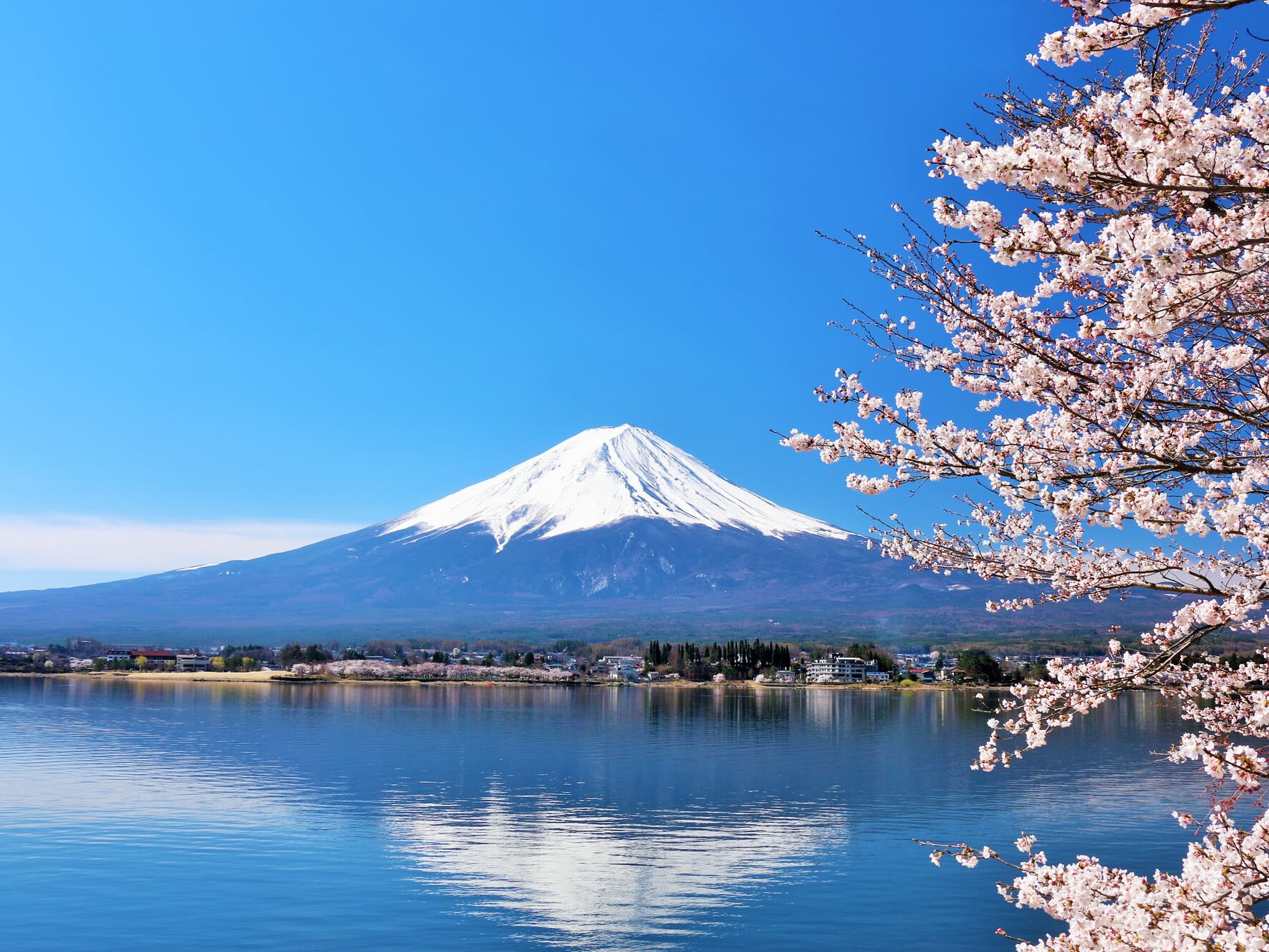 【英語 中国語バスツアー】富士山1日満喫！富士山五合目or富士山遺産センター＋河口湖抹茶体験＋忍野八海＋御殿場アウトレットへ  ＜毎日催行／新宿発着／山梨＞