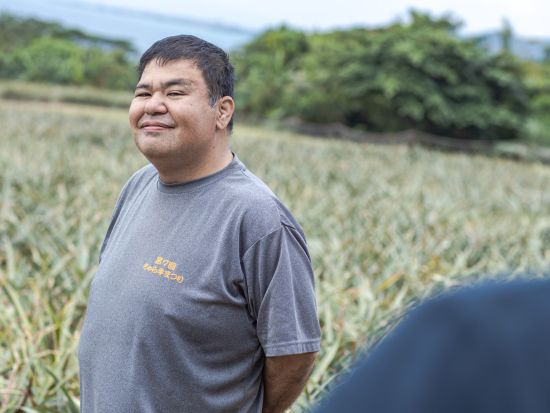 パイナップル収穫体験 ＊パイナップル食べ放題＊所要時間40分程度＜石垣島＞