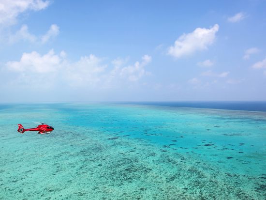 Reef Image EVA