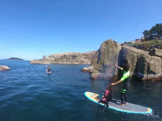 SUP体験 経験者向けコース 海上散歩で東尋坊へ出かけよう！ ＜三国／坂井市＞