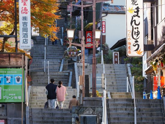 東京発日帰りバスツアー　群馬で旬のフルーツ狩り＆季節の絶景スポット巡り！ランチ付きで自然を満喫＜英語・中国語ガイド＞