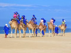 CAMEL RIDE_4