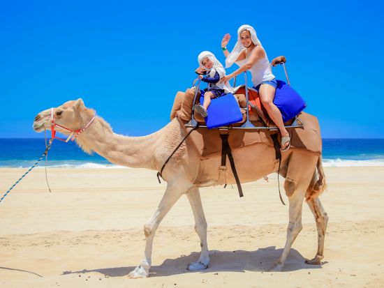 ロスカボスでキャメルサファリ！メキシコ料理とテキーラ試飲付き＜半日／英語ガイド／昼食付／ロスカボス発＞