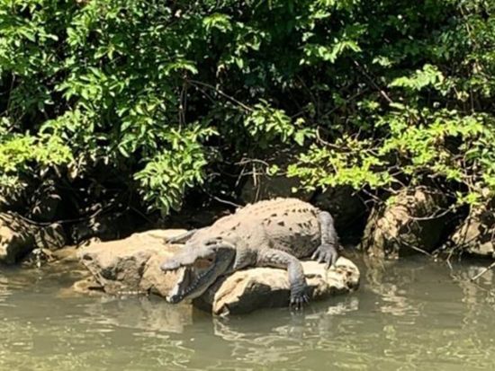 エクバラム遺跡＆リオ・ラガルトス観光ツアー！話題のマヤ遺跡にジャングルクルーズ、セノーテでのシュノーケリングも＜1日／貸切／英語ガイド／昼食付／カンクン発＞