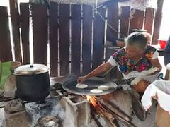 4 Mayan Community