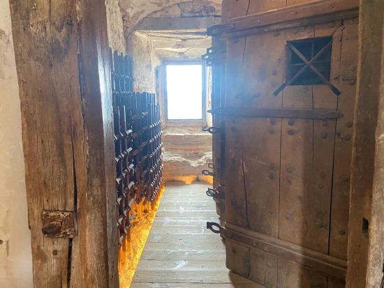 公認日本語ガイドが徹底解説！リュブリャナ城 じっくり見学ツアー＜貸切／約1時間／リュブリャナ発＞