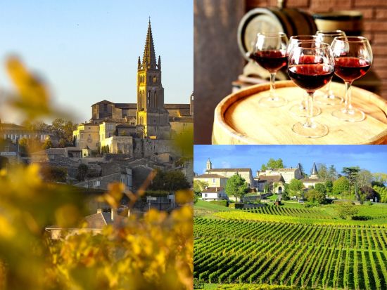 ボルドー　世界遺産サンテミリオン地区1日ワインツアー　3軒のシャトー訪問＜試飲付き／英語ドライバーガイド／ボルドー発着＞