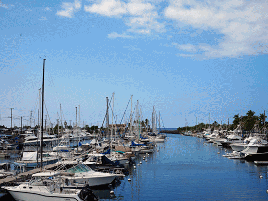 空港発着バン貸切チャーター（1-10名）　空港送迎＋ハワイ島内の見どころを観光＜4時間／日本語ガイド／ハワイ島＞by ハワイ観光