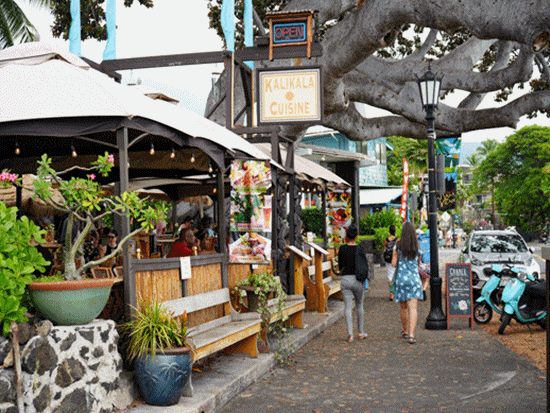 空港発着バン貸切チャーター（1-10名）　空港送迎＋ハワイ島内の見どころを観光＜4時間／日本語ガイド／ハワイ島＞by ハワイ観光