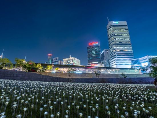 ソウル・ナイトツアー　広蔵市場＋北岳スカイウェイ＋駱山公園＋東大門DDP＜月・火・木・金／日本語ガイド／明洞解散＞