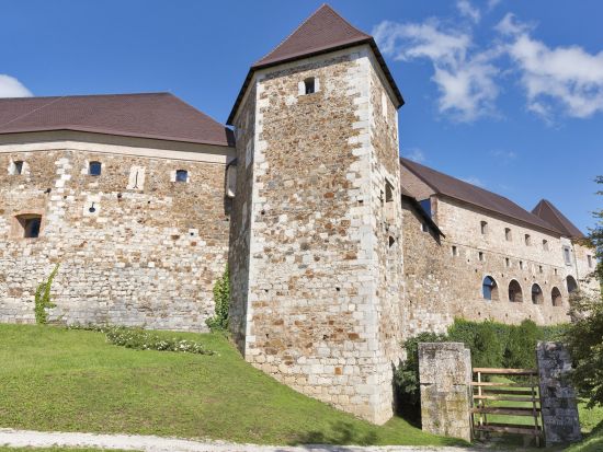 公認日本語ガイドが徹底解説！リュブリャナ城 じっくり見学ツアー＜貸切／約1時間／リュブリャナ発＞