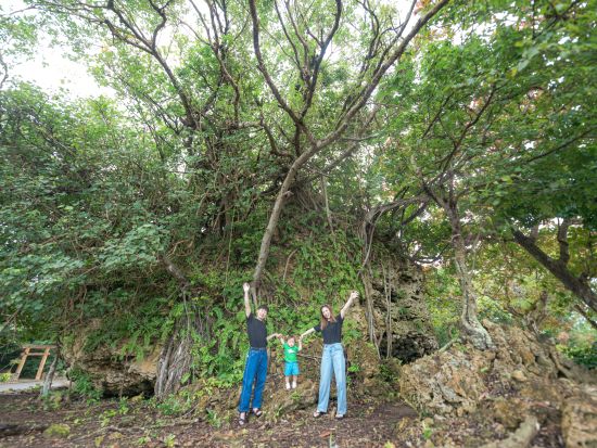 観光ガイドフォトツアー 王道から穴場まで プロのフォトグラファーがご案内＜宿泊ホテル送迎つき／石垣島＞