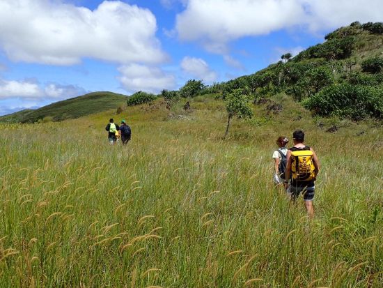 グアム最高峰登山ツアー！ラムラム山&フムジョン・マングロウ山 ケン芳賀のグアム秘境探検トレッキング＜午前／少人数／公認日本語ガイド／送迎付き／貸切プランあり＞