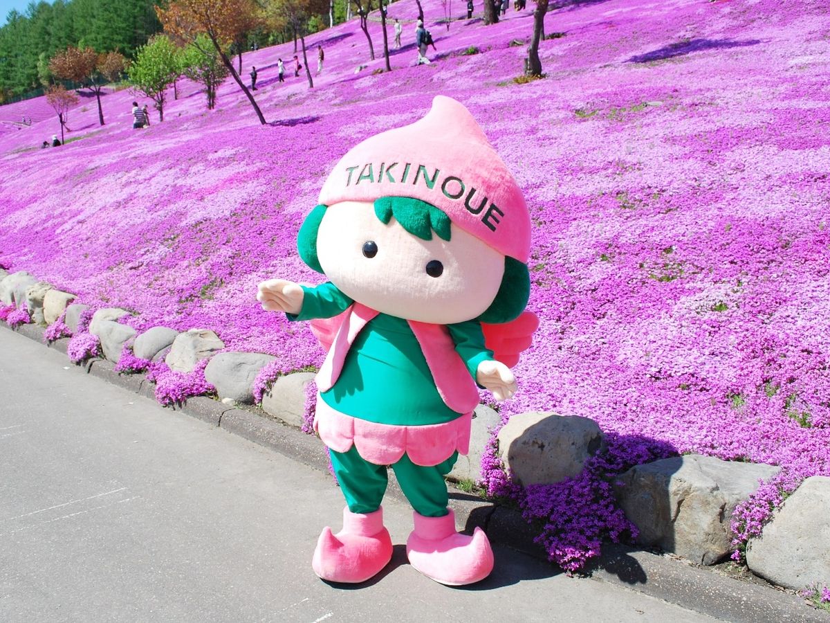 入園チケット】芝ざくら滝上公園 日本最大級の芝ざくらの群落！＜滝上