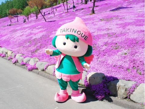 【入園チケット】芝ざくら滝上公園　日本最大級の芝ざくらの群落！＜滝上町＞