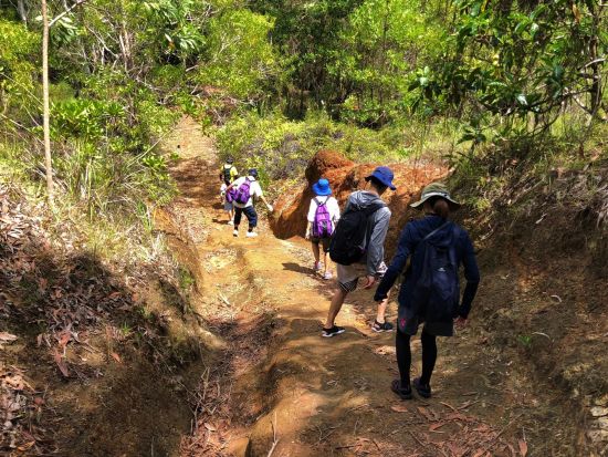 グアムの名滝ターザン・フォールズを目指す　7歳から参加OK！ケン芳賀のグアム秘境探検トレッキング＜午前／少人数／公認日本語ガイド／送迎付き／貸切プランあり＞