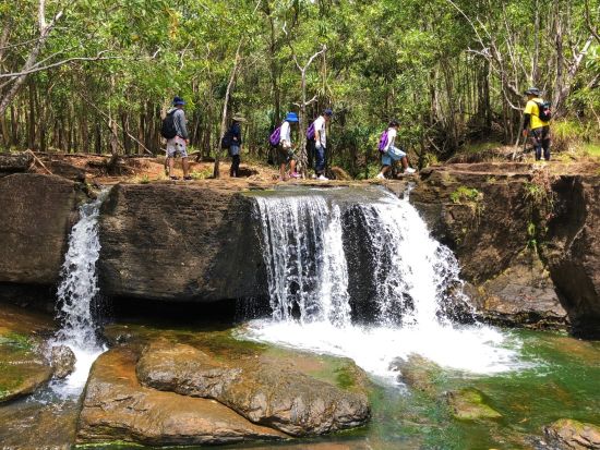 グアムの名滝ターザン・フォールズを目指す　7歳から参加OK！ケン芳賀のグアム秘境探検トレッキング＜午前／少人数／公認日本語ガイド／送迎付き／貸切プランあり＞