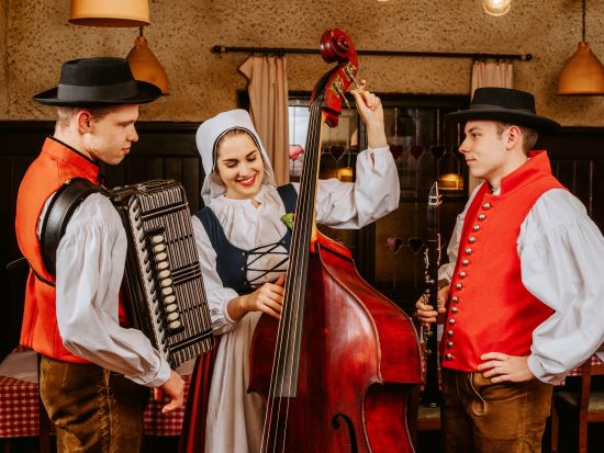 スロベニアの伝統料理＆ダンスを楽しむ フォークロアディナーショー＜ウェルカムドリンク・ワイン付／3コースディナー／リュブリャナ発＞