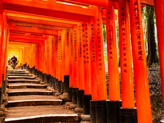 伏見稲荷ウォーキングツアー ミステリーガイドと行く伏見稲荷大社の不思議解明プラン＜1.5～4時間／稲荷駅発着／京都市＞