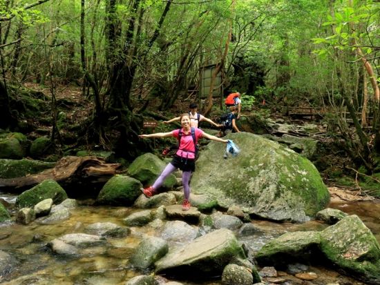 屋久島公認ガイド・かめさんと行く！白谷雲水峡1日（苔むす森～太鼓岩）コース  貸切オプションあり ＜宮之浦～尾之間エリア送迎可能＞by 屋久島 山歩