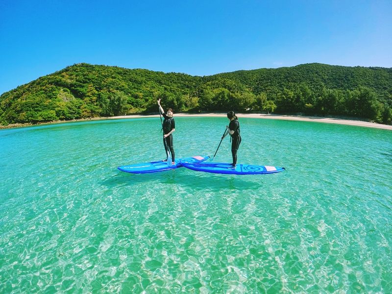 KAIMIRU］4枚組 sup スタンド アップ パドル ステッカー