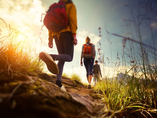 Hiking_shutterstock_208356901