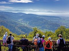 hiking fellsenegg